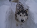 Winter Storm 2010