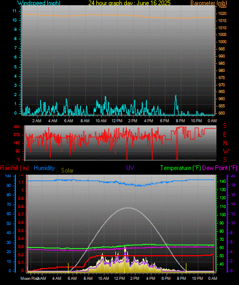 24 Hour Graph for Day 16