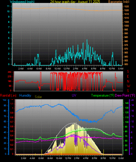 24 Hour Graph for Day 11