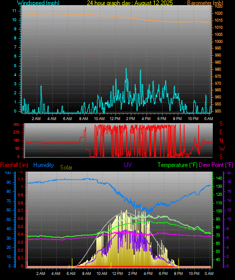 24 Hour Graph for Day 12