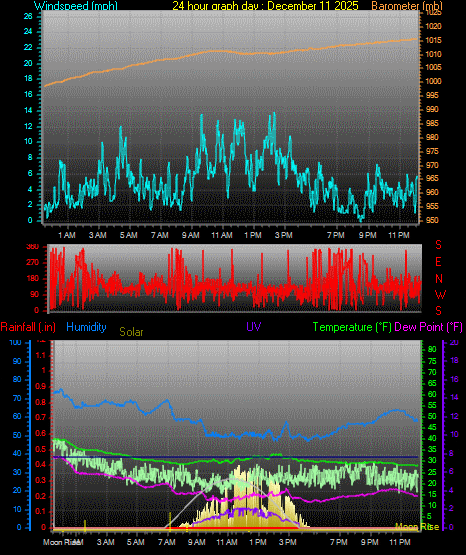 24 Hour Graph for Day 11