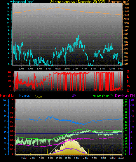 24 Hour Graph for Day 20