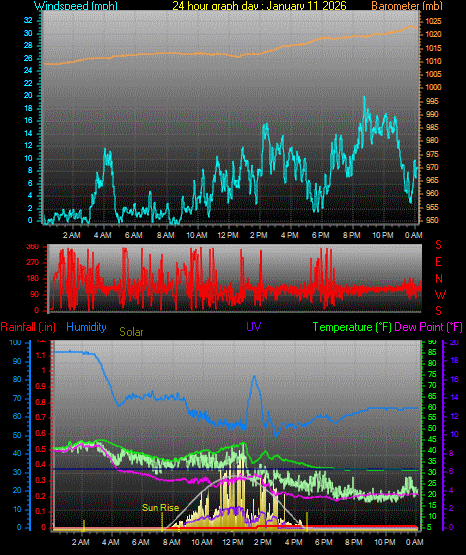 24 Hour Graph for Day 11