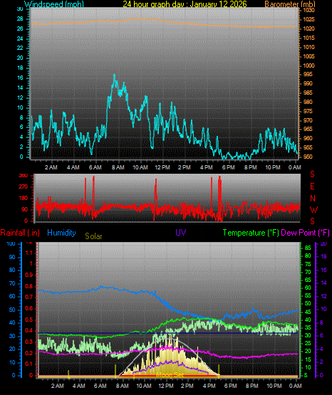 24 Hour Graph for Day 12