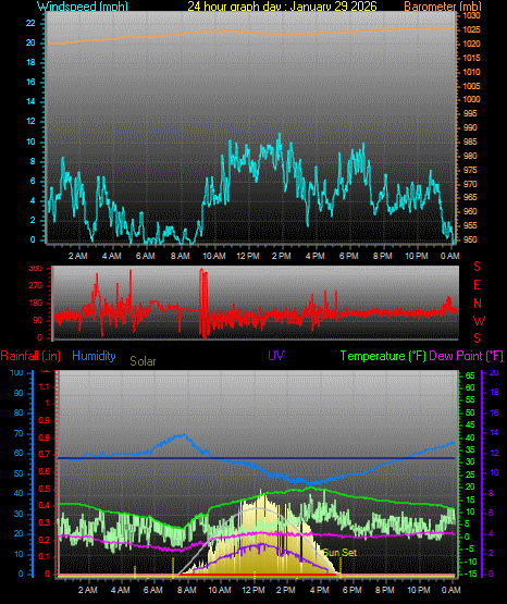 24 Hour Graph for Day 29