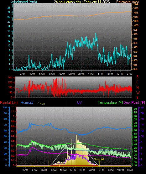 24 Hour Graph for Day 11