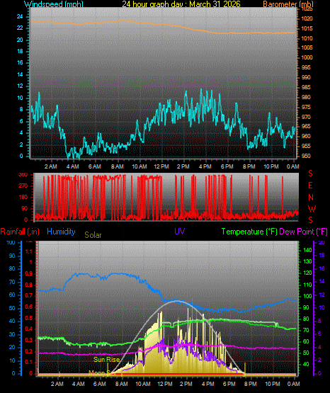 24 Hour Graph for Day 31