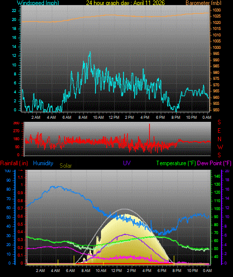 24 Hour Graph for Day 11