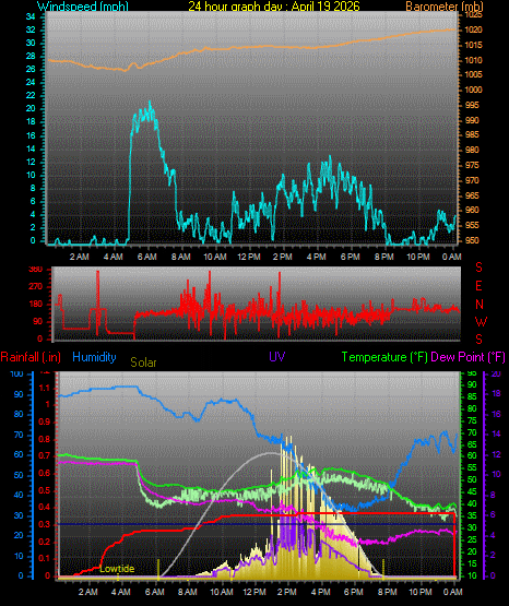 24 Hour Graph for Day 19