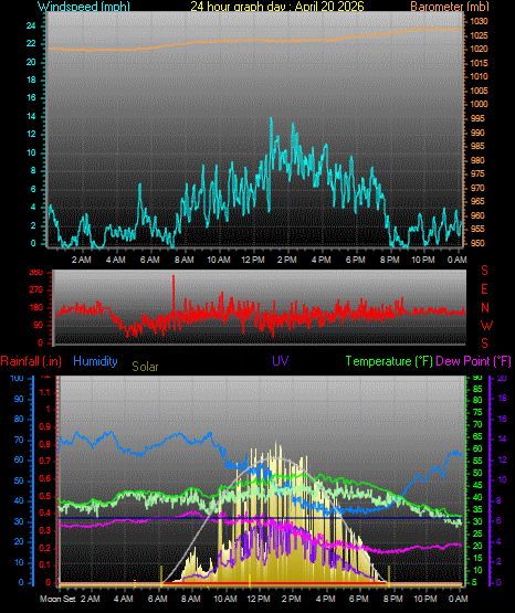 24 Hour Graph for Day 20