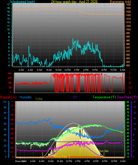 24 Hour Graph for Day 21