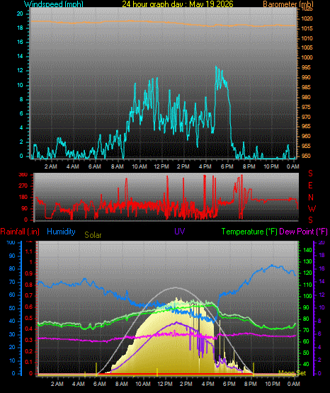 24 Hour Graph for Day 19