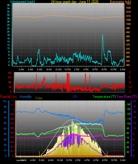 24 Hour Graph for Day 11