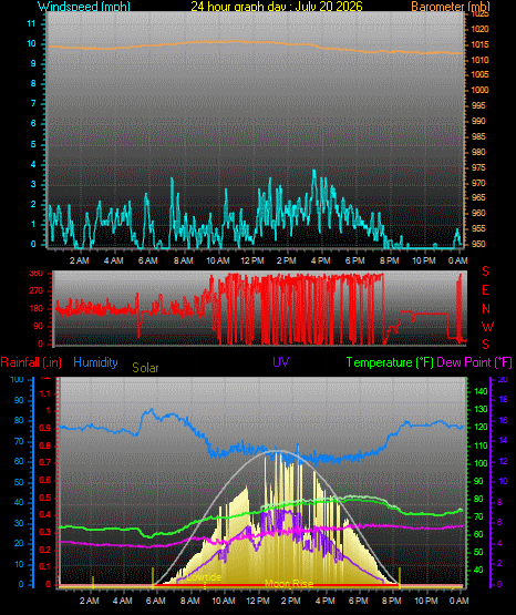 24 Hour Graph for Day 20