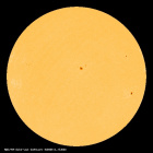 SDO/HMI Continuum Image of the Sun